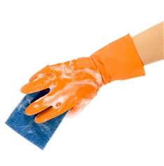 Where Cleanliness meets Care Services - 海星体育